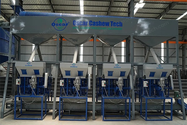 Manufacturer of Ultra Modern Kaju Processor Machine in India