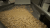 Cashew Processing Machinery Manufacturer